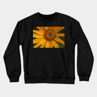 Sunflower Crewneck Sweatshirt